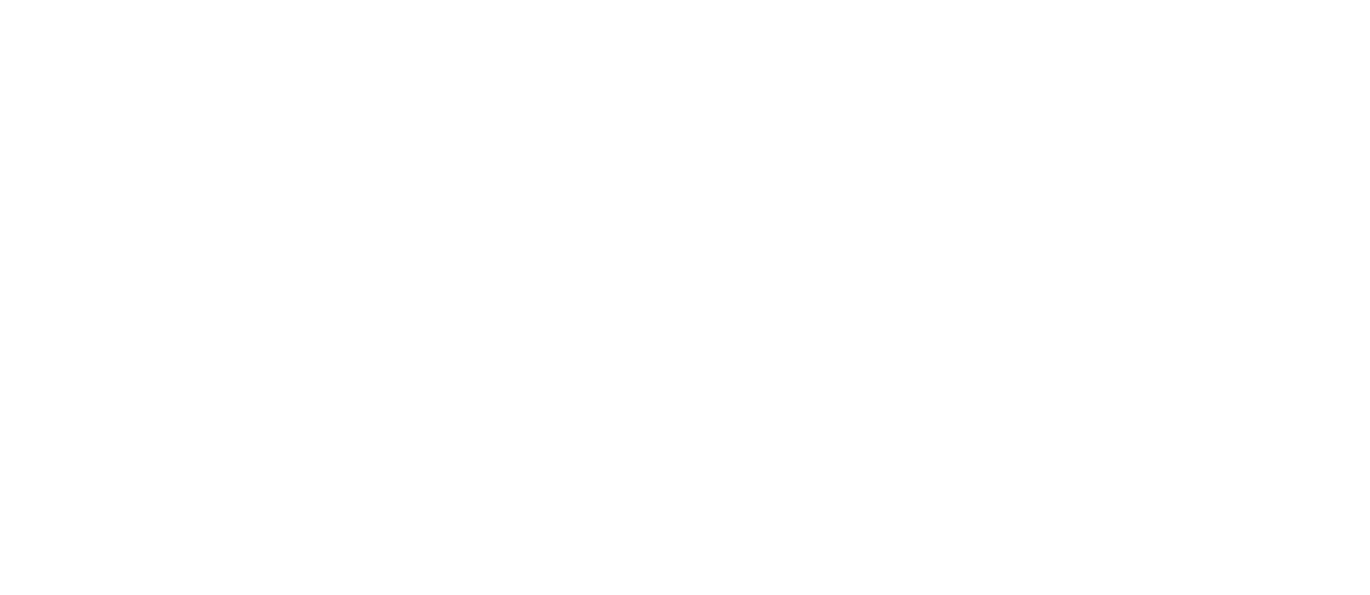 BLG COSTRUZIONI LOGO